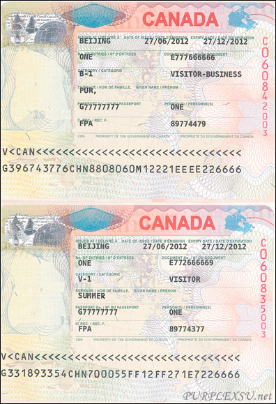 加拿大个人旅游、商务签证