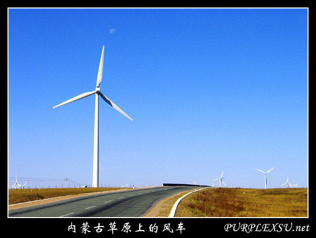 内蒙古赤峰达里诺尔湖 风车
