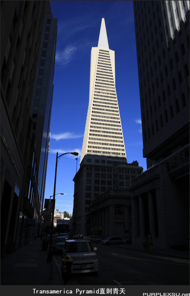 旧金山Downtown的Transamerica Pyramid