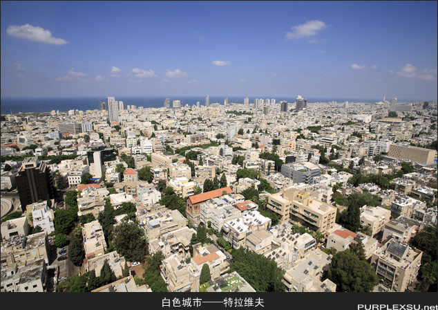 俯瞰以色列首都特拉维夫市区
