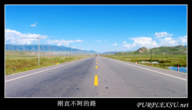 自行车环游青海湖 公路