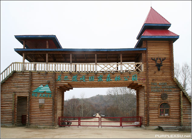 莫尔道嘎国家森林公园