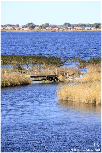 齐齐哈尔扎龙丹顶鹤自然保护区