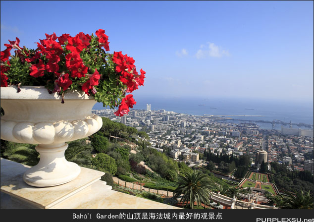 从Baha'i Garden的至高点俯瞰海法市区