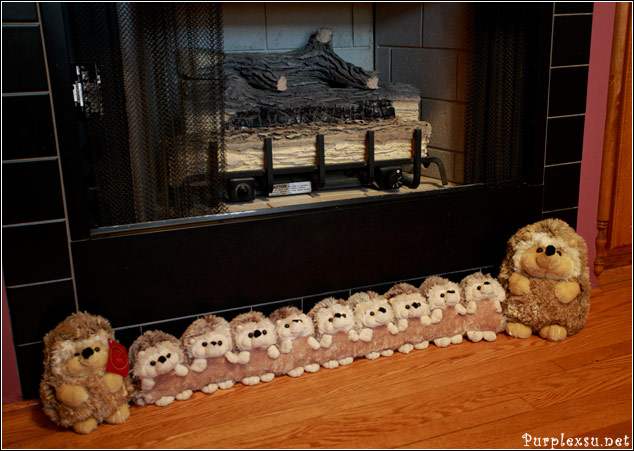 Carol大婶的刺猬们