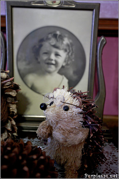 Carol大婶的刺猬们